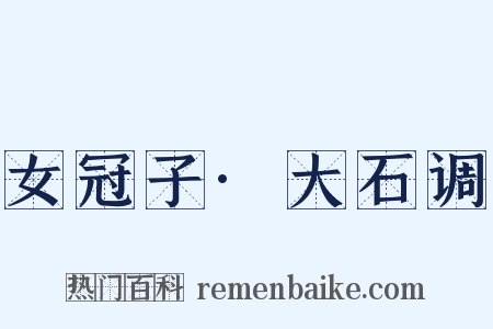女冠子·大石调是什么意思的图片